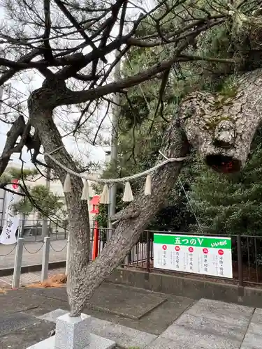 玉村八幡宮(群馬県)