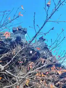 大田井山 極楽寺の自然(2022年01月21日(金) 14時40分41秒投稿)