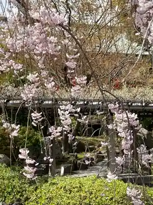 城南宮(京都府)