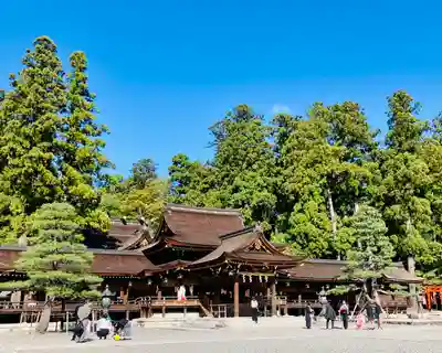 多賀大社の本殿・本堂