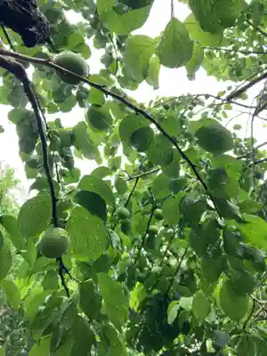 弘道館鹿島神社(茨城県)