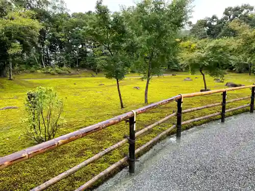 鹿苑寺（金閣寺）(京都府)