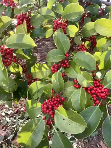 秋葉神社(岐阜県)