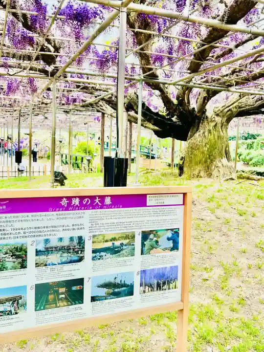徳蔵寺の{uncategorized: "未分類", other: "その他", undefined: "問題あり", building: "その他建物", grave: "お墓", sacred_gate: "鳥居", guardian: "狛犬", statue: "像", buddha: "仏像", history: "歴史", nature: "自然", garden: "庭園", animal: "動物", pagoda: "塔", temizu: "手水舎", mountain_gate: "山門・神門", sanctuary: "本殿・本堂", subordinate: "末社・摂社", art: "芸術", scenery: "景色", jizo: "地蔵", ema: "絵馬", goshuin: "御朱印", omikuji: "おみくじ", items: "授与品その他", amulet: "お守り", goshuincho: "御朱印帳", eats: "食事", festival: "お祭り", votive_dance: "神楽", shichigosan: "七五三参", wedding: "結婚式", experience: "体験その他", initially: "初詣", around: "周辺", anti_infection: "感染症対策"}