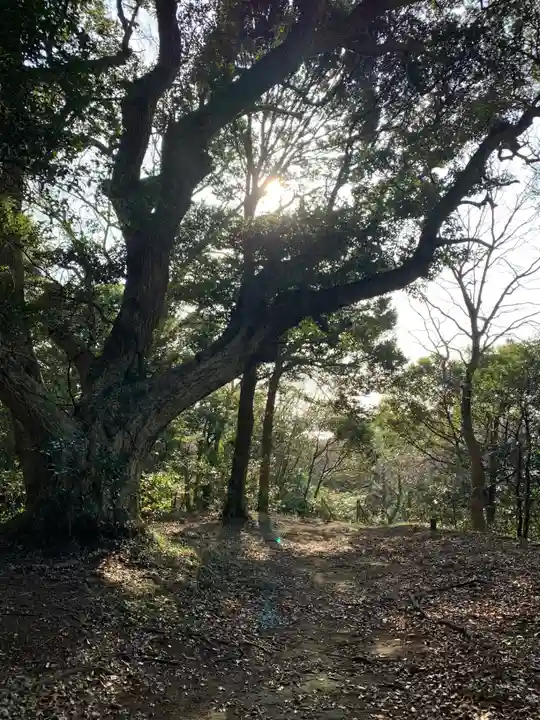 浅間神社(千葉県)
