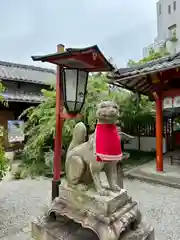 源九郎稲荷神社の狛犬