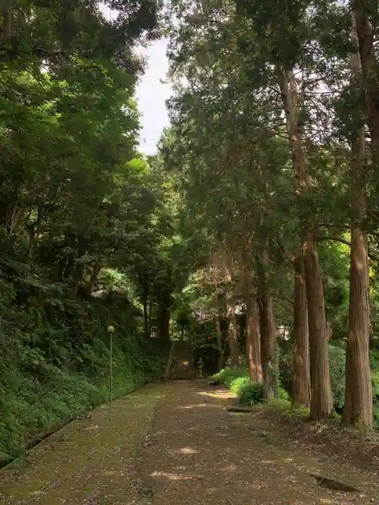 賀茂神社の周辺