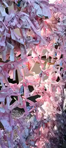 菊田神社の{uncategorized: "未分類", other: "その他", undefined: "問題あり", building: "その他建物", grave: "お墓", sacred_gate: "鳥居", guardian: "狛犬", statue: "像", buddha: "仏像", history: "歴史", nature: "自然", garden: "庭園", animal: "動物", pagoda: "塔", temizu: "手水舎", mountain_gate: "山門・神門", sanctuary: "本殿・本堂", subordinate: "末社・摂社", art: "芸術", scenery: "景色", jizo: "地蔵", ema: "絵馬", goshuin: "御朱印", omikuji: "おみくじ", items: "授与品その他", amulet: "お守り", goshuincho: "御朱印帳", eats: "食事", festival: "お祭り", votive_dance: "神楽", shichigosan: "七五三参", wedding: "結婚式", experience: "体験その他", initially: "初詣", around: "周辺", anti_infection: "感染症対策"}