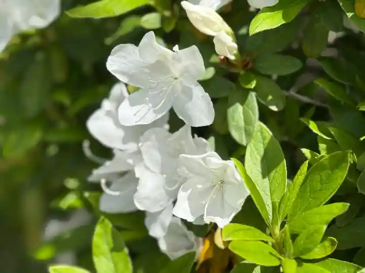 西方山極楽寺(岐阜県)