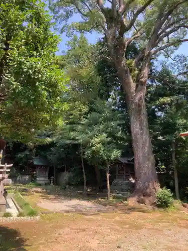 居神神社(神奈川県)