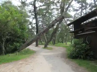 天橋立神社(京都府)