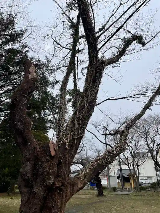 陸奥国分寺 準胝観音堂(宮城県)