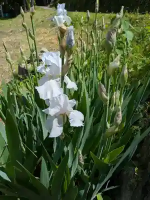 東光寺(岐阜県)