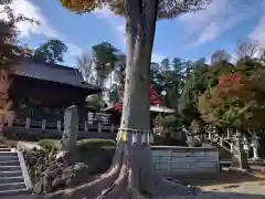 瀧宮神社の自然