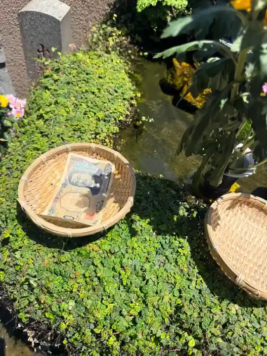 神楽坂安養寺の{uncategorized: "未分類", other: "その他", undefined: "問題あり", building: "その他建物", grave: "お墓", sacred_gate: "鳥居", guardian: "狛犬", statue: "像", buddha: "仏像", history: "歴史", nature: "自然", garden: "庭園", animal: "動物", pagoda: "塔", temizu: "手水舎", mountain_gate: "山門・神門", sanctuary: "本殿・本堂", subordinate: "末社・摂社", art: "芸術", scenery: "景色", jizo: "地蔵", ema: "絵馬", goshuin: "御朱印", omikuji: "おみくじ", items: "授与品その他", amulet: "お守り", goshuincho: "御朱印帳", eats: "食事", festival: "お祭り", votive_dance: "神楽", shichigosan: "七五三参", wedding: "結婚式", experience: "体験その他", initially: "初詣", around: "周辺", anti_infection: "感染症対策"}
