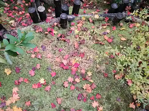 華厳寺（鈴虫寺）(京都府)