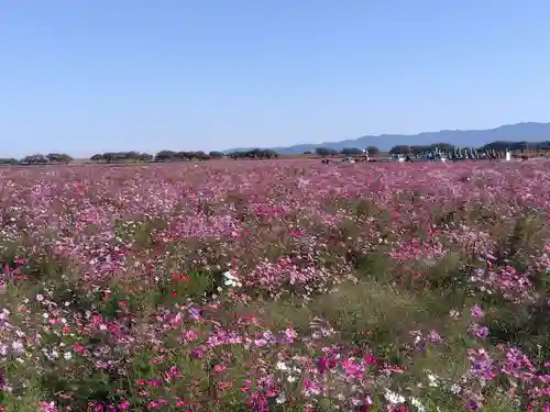 白山神社(福井県)