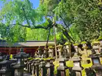 春日大社(奈良県)