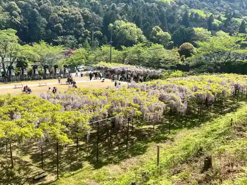 天台宗 五大山 白毫寺(兵庫県)