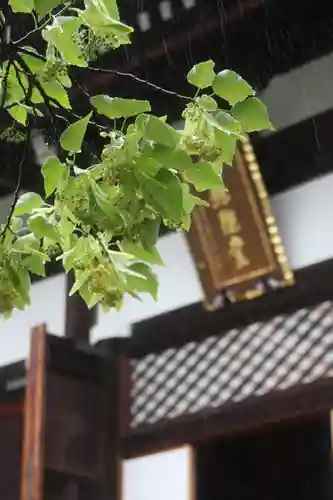 くろ谷 金戒光明寺(京都府)