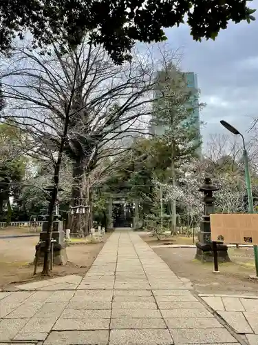 赤坂氷川神社(東京都)