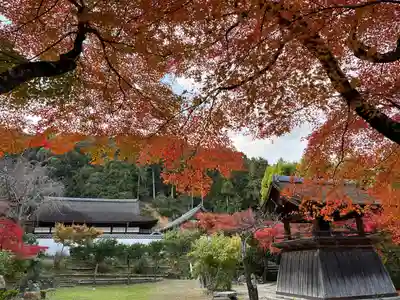 正伝護国禅寺(正伝寺･正傳寺)(京都府)