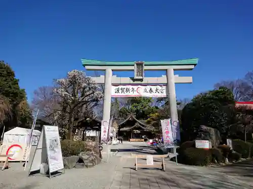 出雲大社相模分祠の鳥居