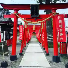 於菊稲荷神社の鳥居