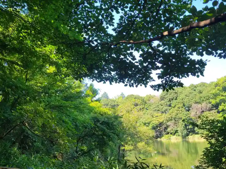 厳島神社の自然