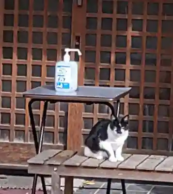 愛宕神社(福島県)