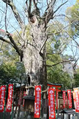 杭全神社の自然