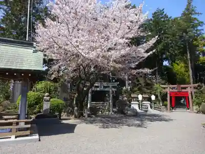 亀ケ池八幡宮のその他建物