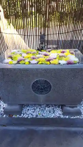 長良神社の手水