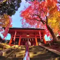 毘沙門堂門跡(京都府)