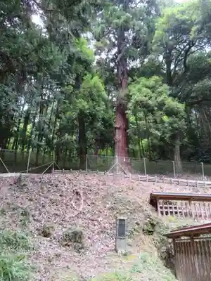 武田八幡宮のその他建物