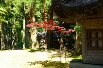 壇上伽藍のその他建物