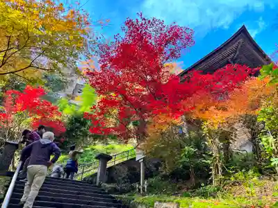 宝珠山 立石寺の山門・神門