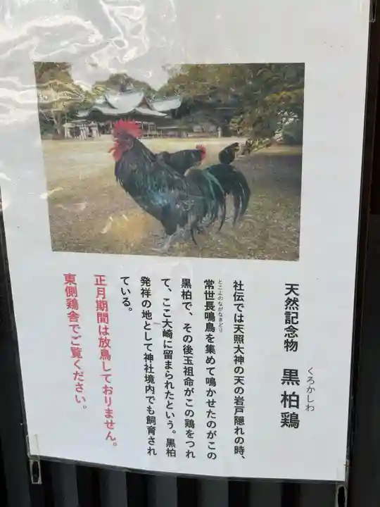 玉祖神社(山口県)