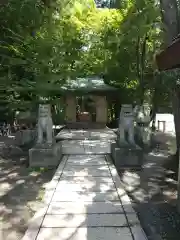 大王神社の狛犬