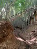 妙見神社(千葉県)