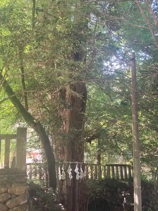 武蔵二宮 金鑚神社(埼玉県)