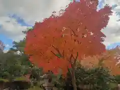 壺井八幡宮(大阪府)