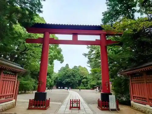 武蔵一宮氷川神社の鳥居