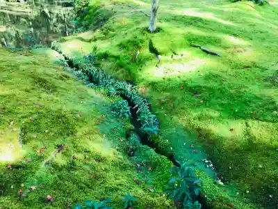 西芳寺の{uncategorized: "未分類", other: "その他", undefined: "問題あり", building: "その他建物", grave: "お墓", sacred_gate: "鳥居", guardian: "狛犬", statue: "像", buddha: "仏像", history: "歴史", nature: "自然", garden: "庭園", animal: "動物", pagoda: "塔", temizu: "手水舎", mountain_gate: "山門・神門", sanctuary: "本殿・本堂", subordinate: "末社・摂社", art: "芸術", scenery: "景色", jizo: "地蔵", ema: "絵馬", goshuin: "御朱印", omikuji: "おみくじ", items: "授与品その他", amulet: "お守り", goshuincho: "御朱印帳", eats: "食事", festival: "お祭り", votive_dance: "神楽", shichigosan: "七五三参", wedding: "結婚式", experience: "体験その他", initially: "初詣", around: "周辺", anti_infection: "感染症対策"}