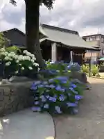 日吉八王子神社の庭園