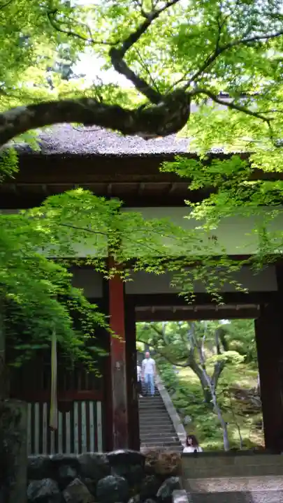 常寂光寺(京都府)