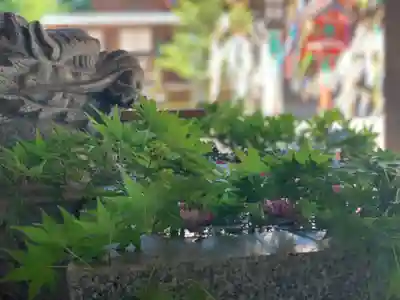滑川神社 - 仕事と子どもの守り神の手水舎