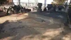 赤烏神社の建物その他