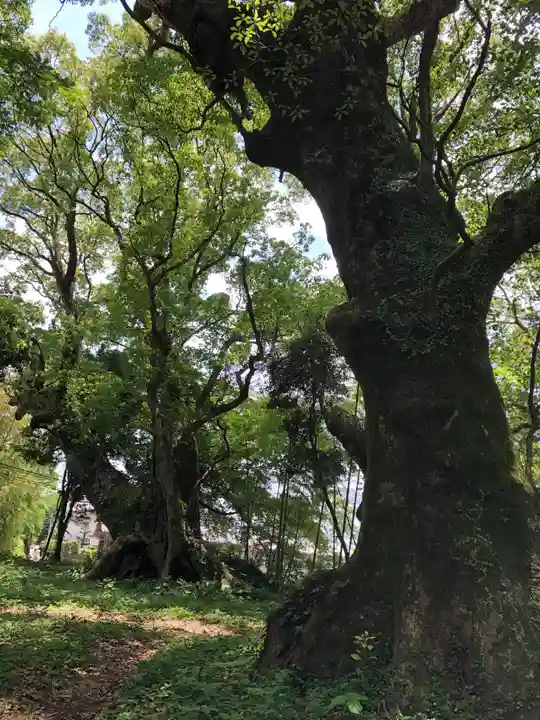 大汝牟遅神社の自然