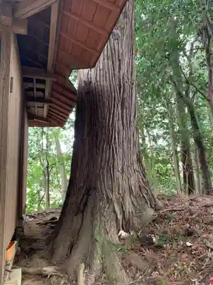 神明社(千葉県)